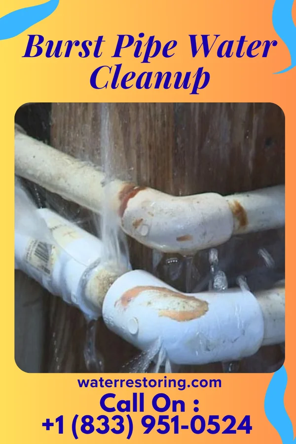 Burst Pipe Water Cleanup in Bellefonte, KY