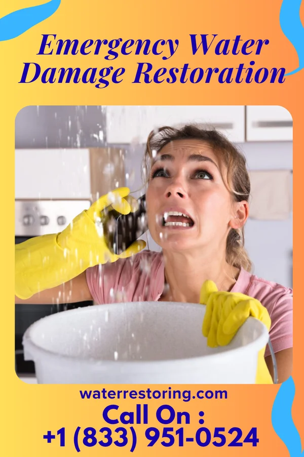 Emergency Water Damage Restoration in Bellefonte, KY