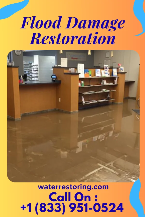 Flood Damage Restoration in Bellefonte, KY