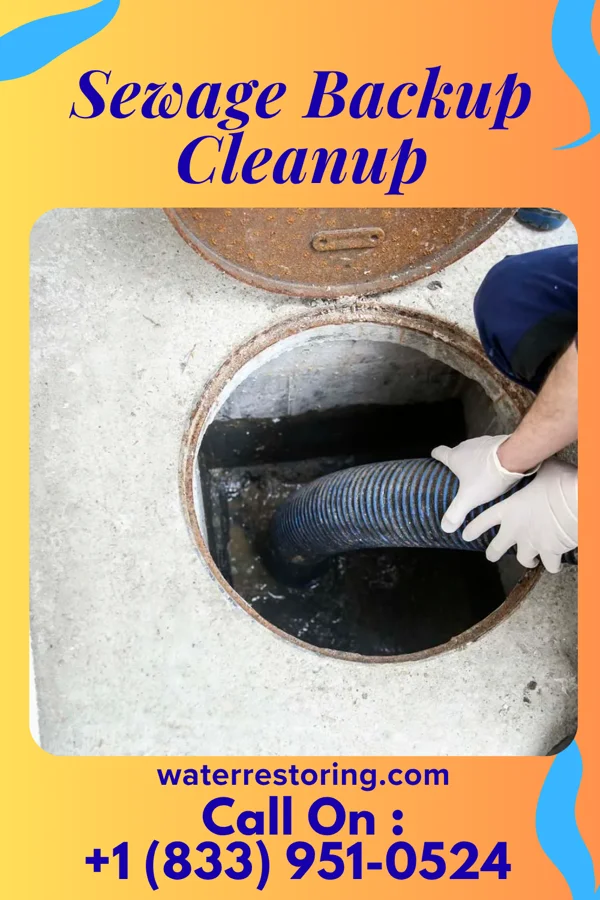 Sewage Backup Cleanup in Bellefonte, KY