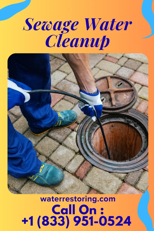 Sewage Water Cleanup in Bellefonte, KY