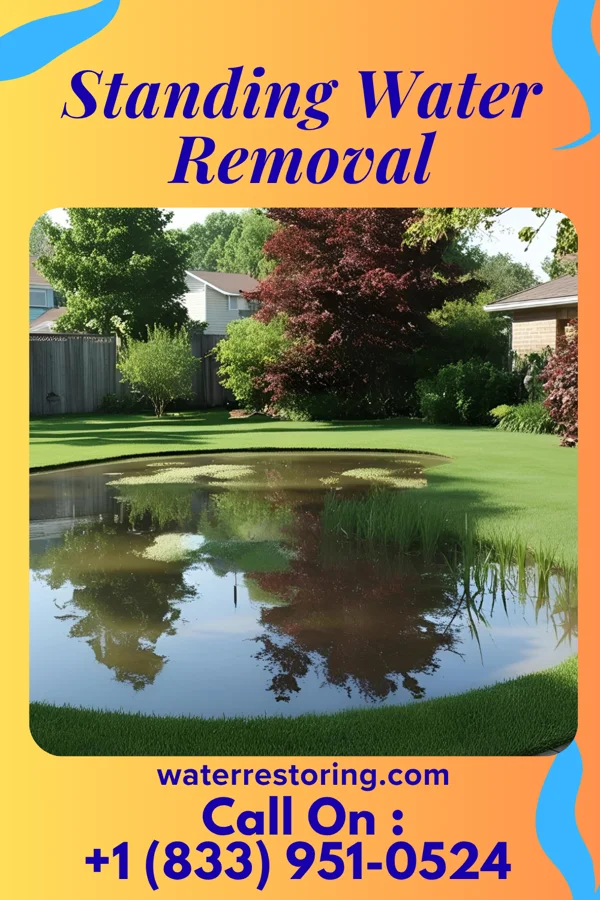 Standing Water Removal in Bellefonte, KY